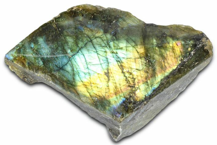 Single Side Polished Labradorite Section - Madagascar #364312